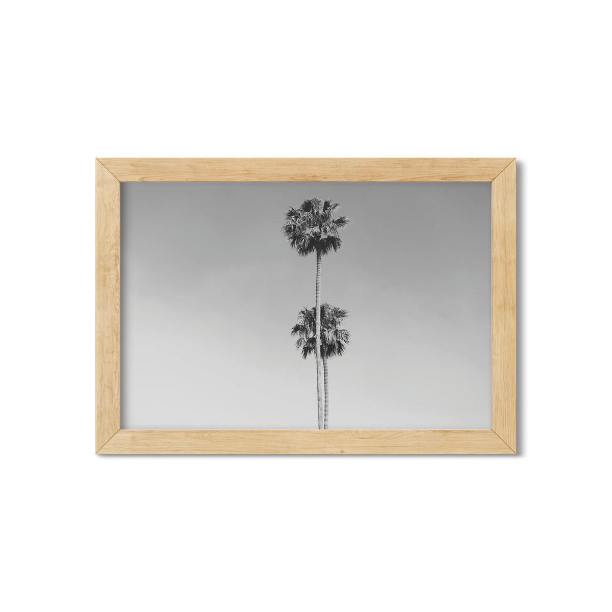TWO PALMS