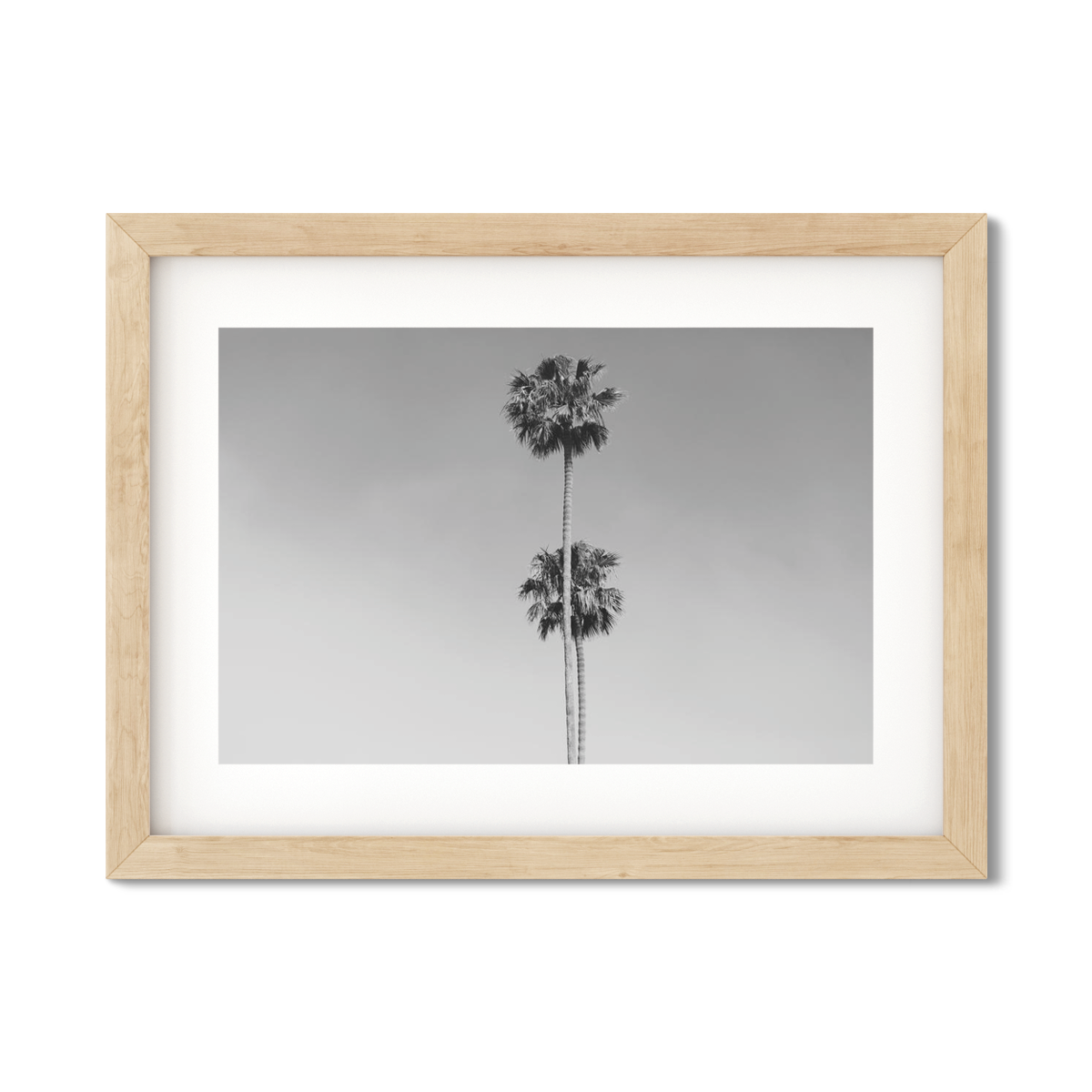 TWO PALMS