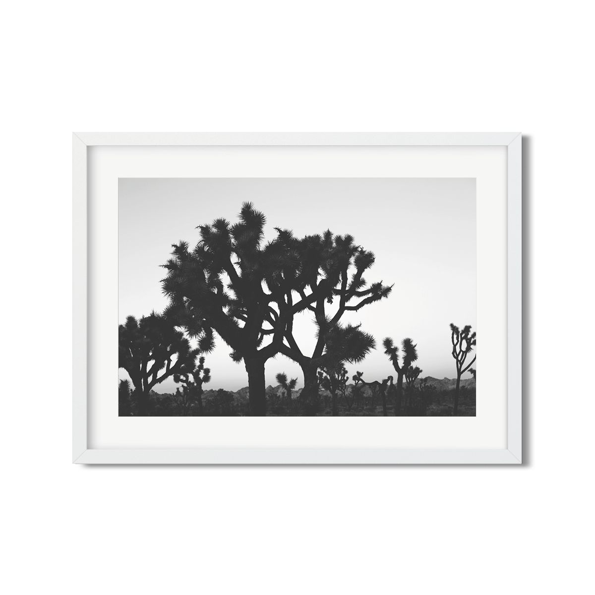 JOSHUA TREE NO. 23