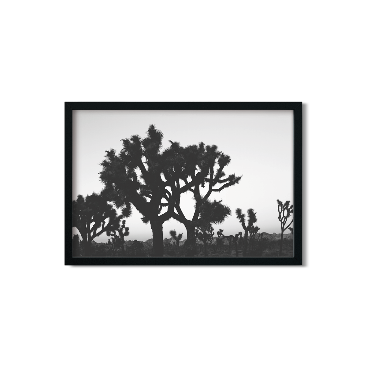 JOSHUA TREE NO. 23