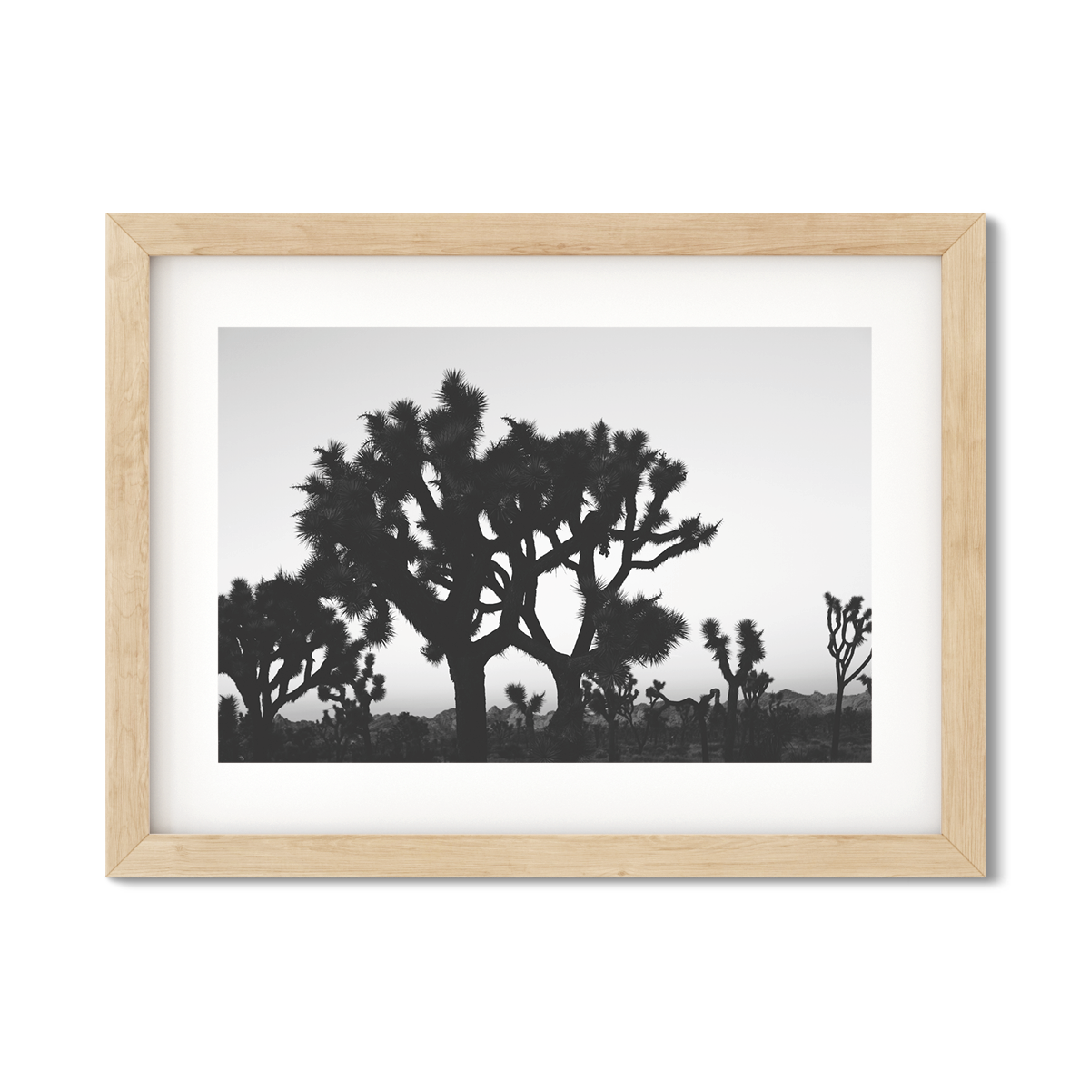 JOSHUA TREE NO. 23
