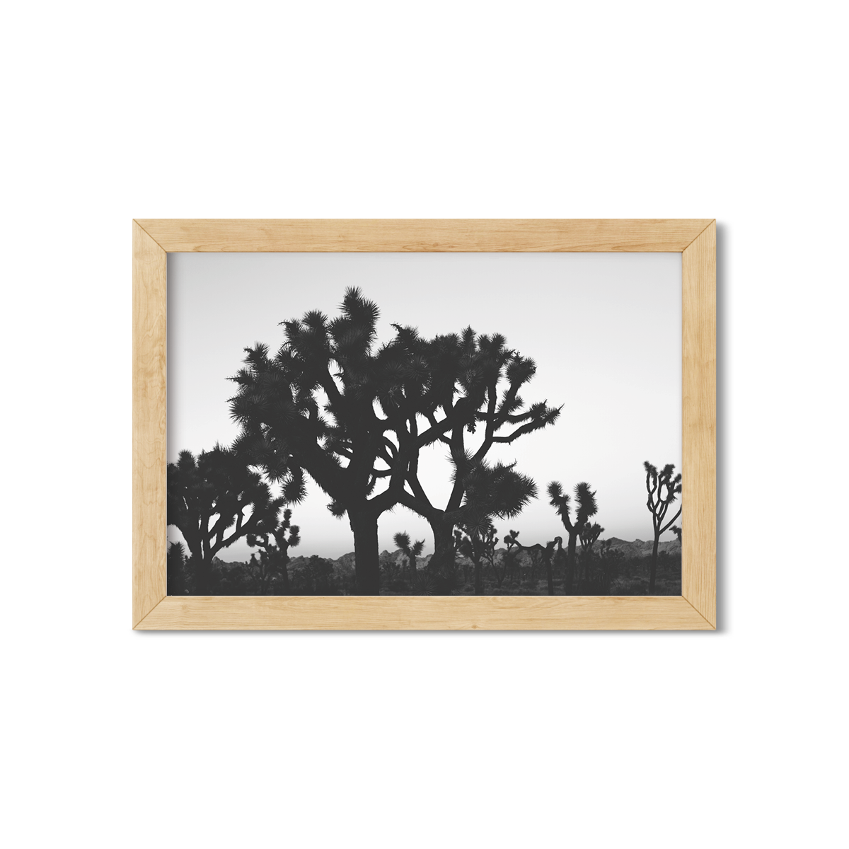 JOSHUA TREE NO. 23