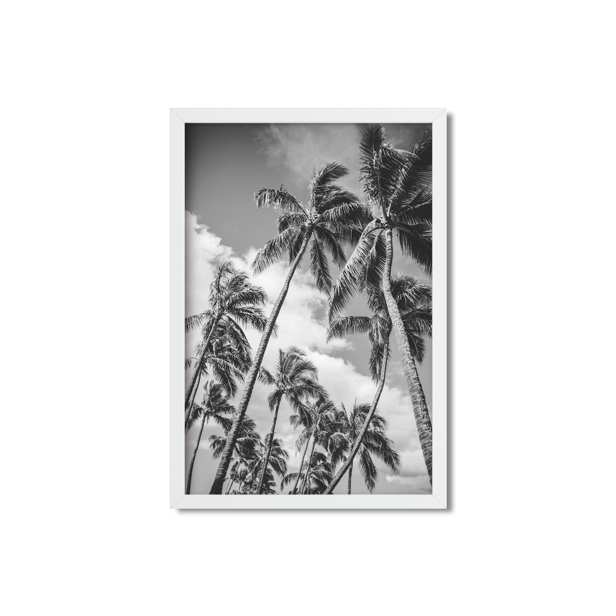 HAWAIIAN PALM TREES NO. 21