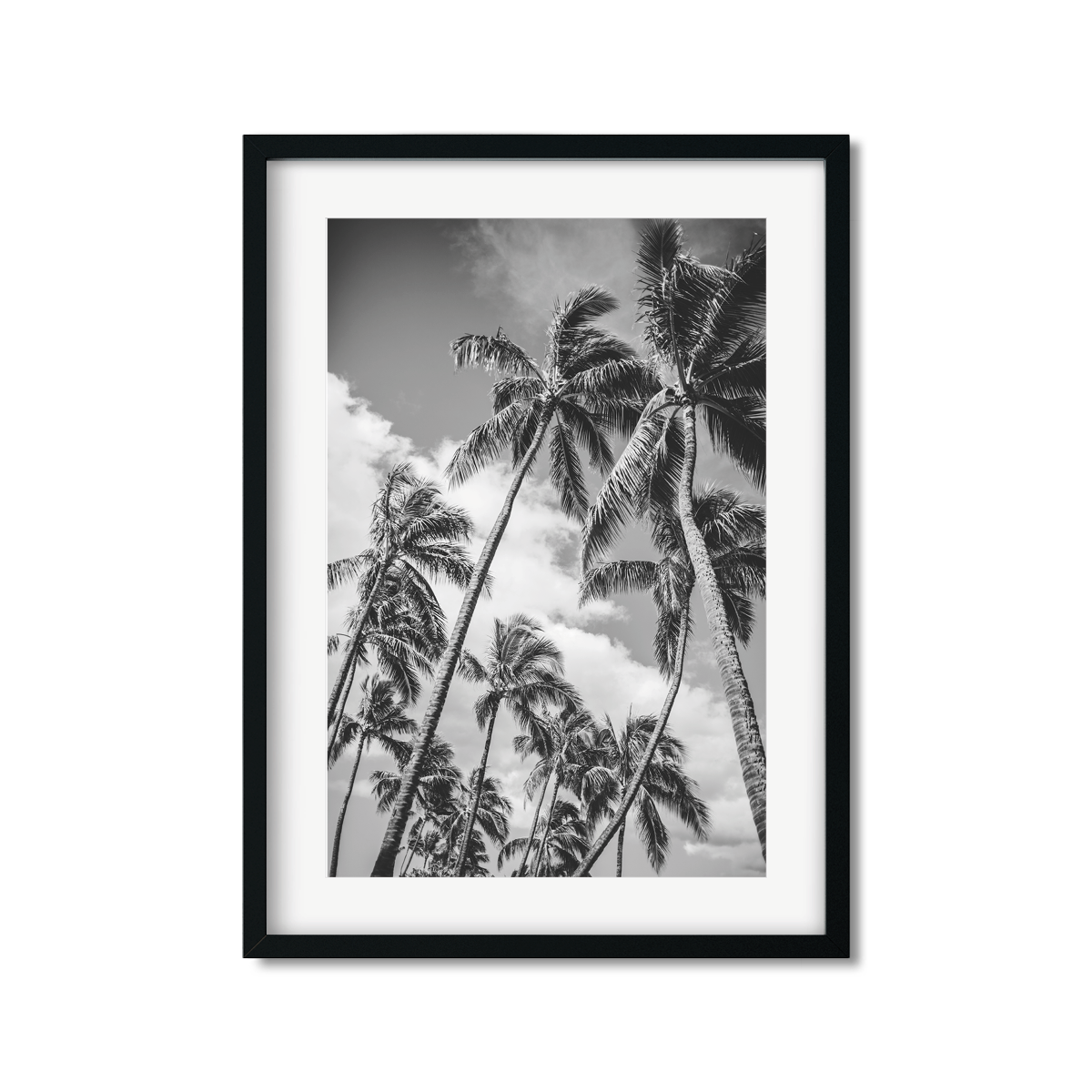 HAWAIIAN PALM TREES NO. 21