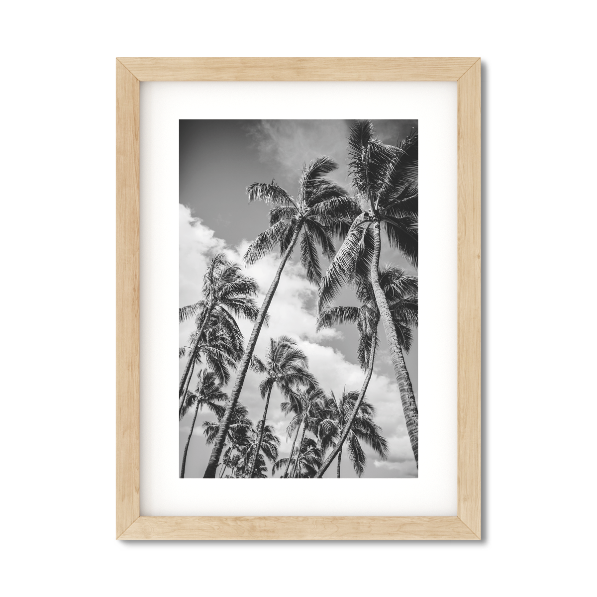 HAWAIIAN PALM TREES NO. 21