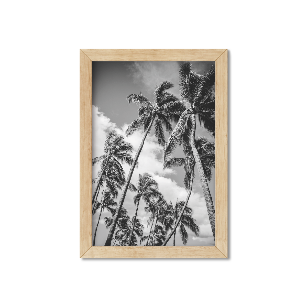HAWAIIAN PALM TREES NO. 21