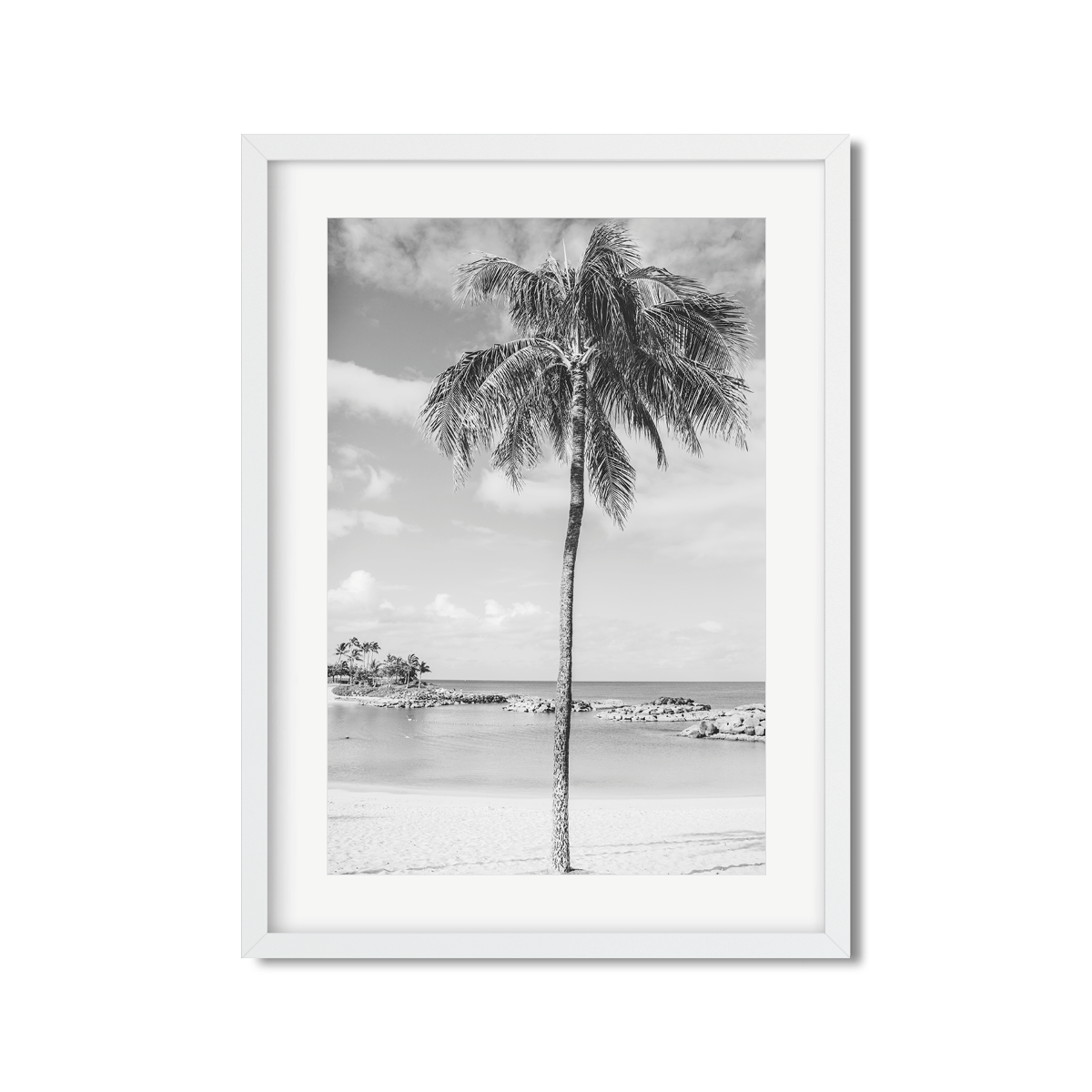 HAWAIIAN PALM TREES NO. 20