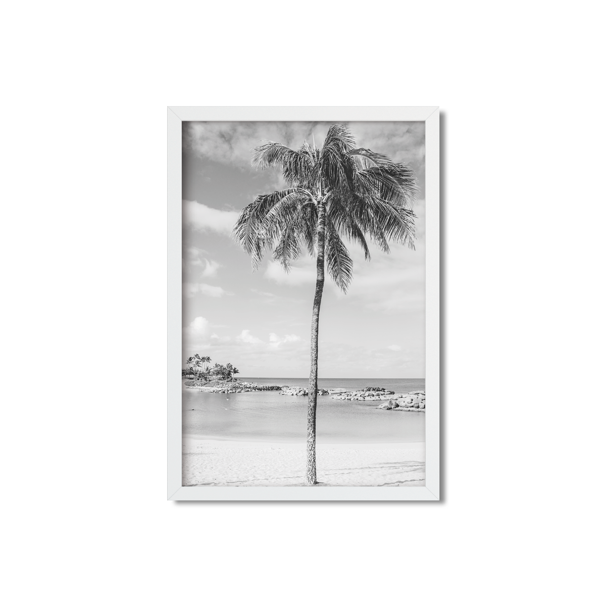 HAWAIIAN PALM TREES NO. 20