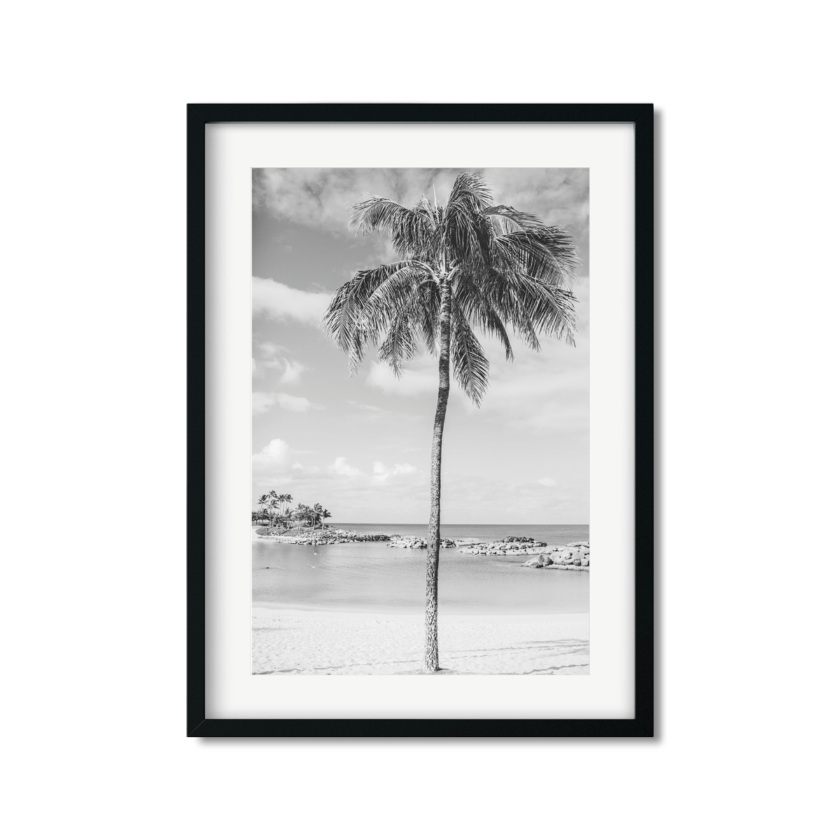 HAWAIIAN PALM TREES NO. 20
