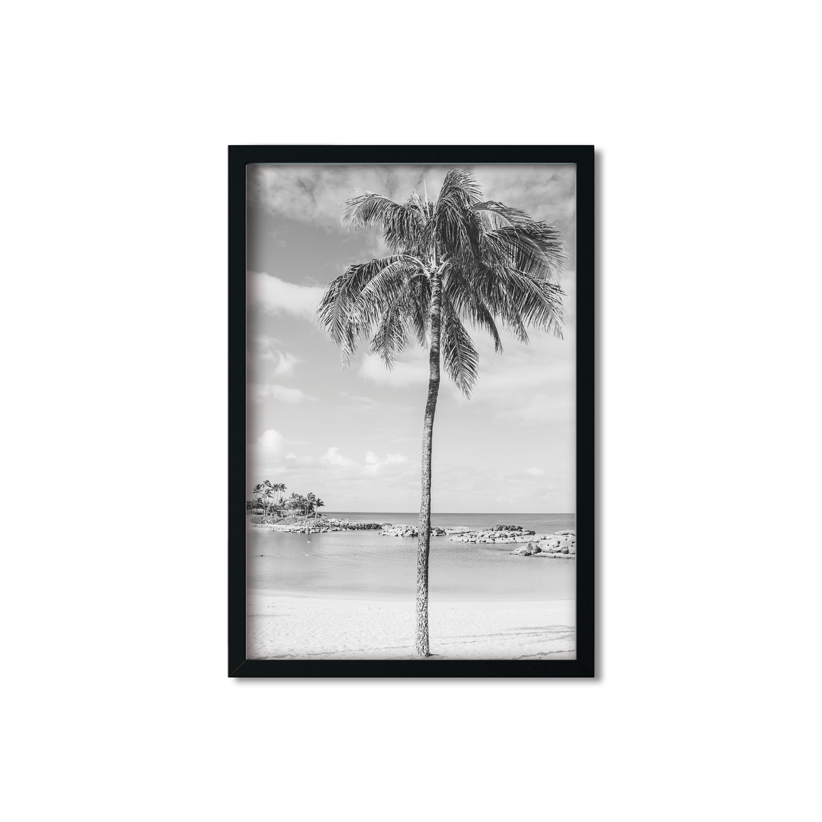HAWAIIAN PALM TREES NO. 20