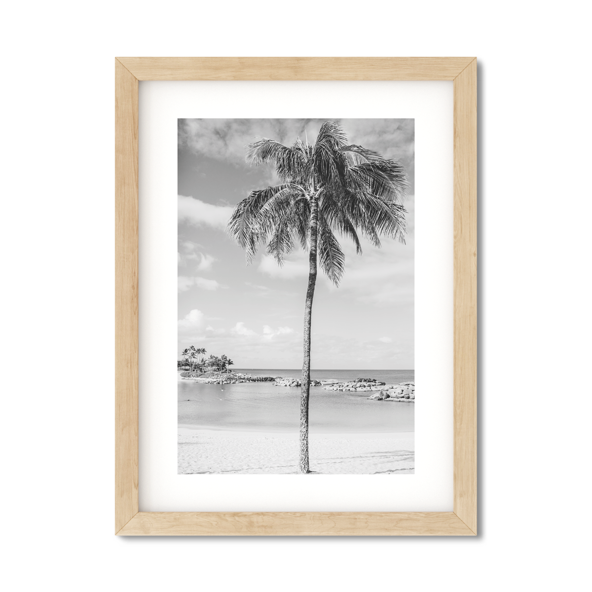 HAWAIIAN PALM TREES NO. 20