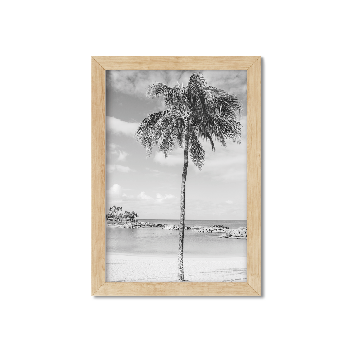 HAWAIIAN PALM TREES NO. 20