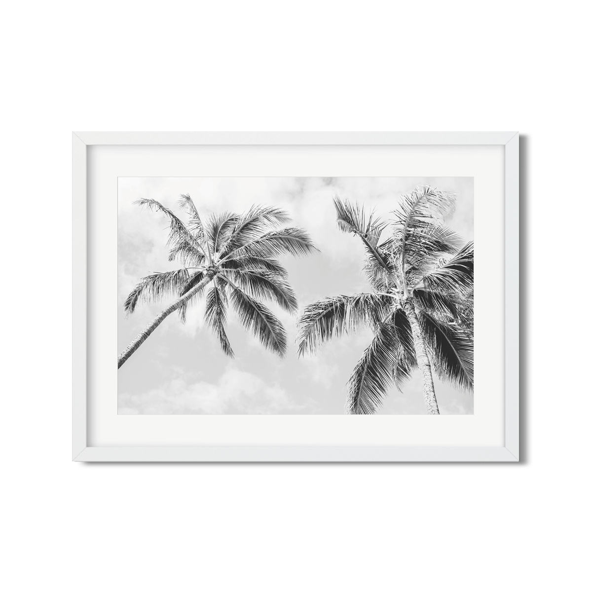 HAWAIIAN PALM TREES NO. 22