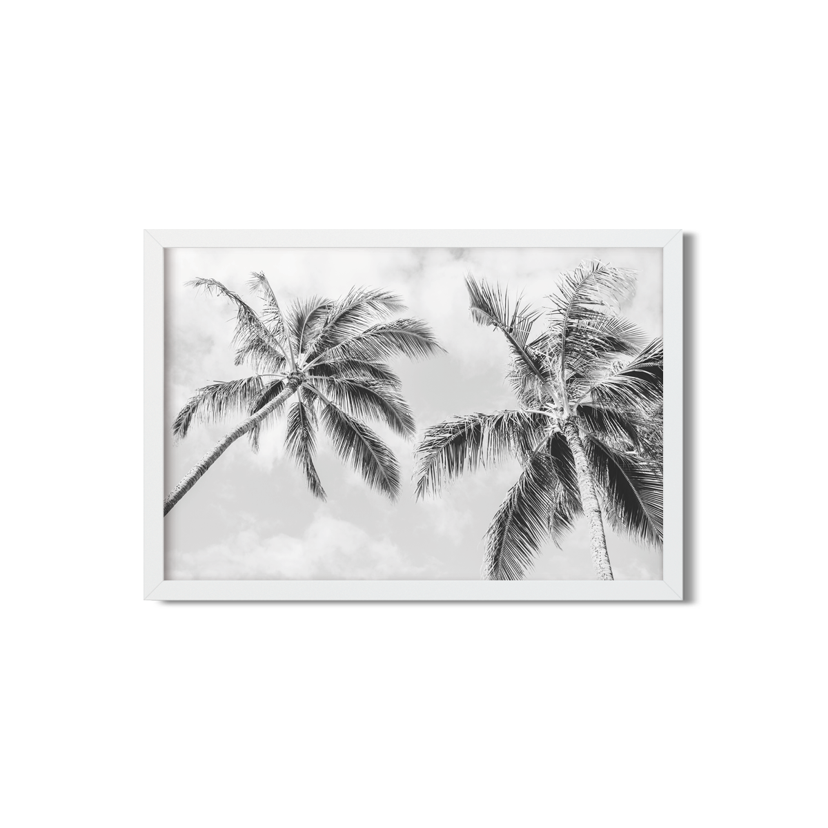 HAWAIIAN PALM TREES NO. 22