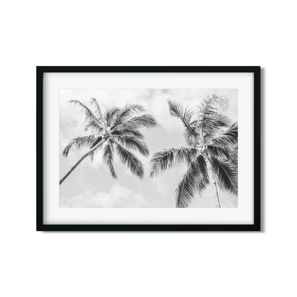HAWAIIAN PALM TREES NO. 22