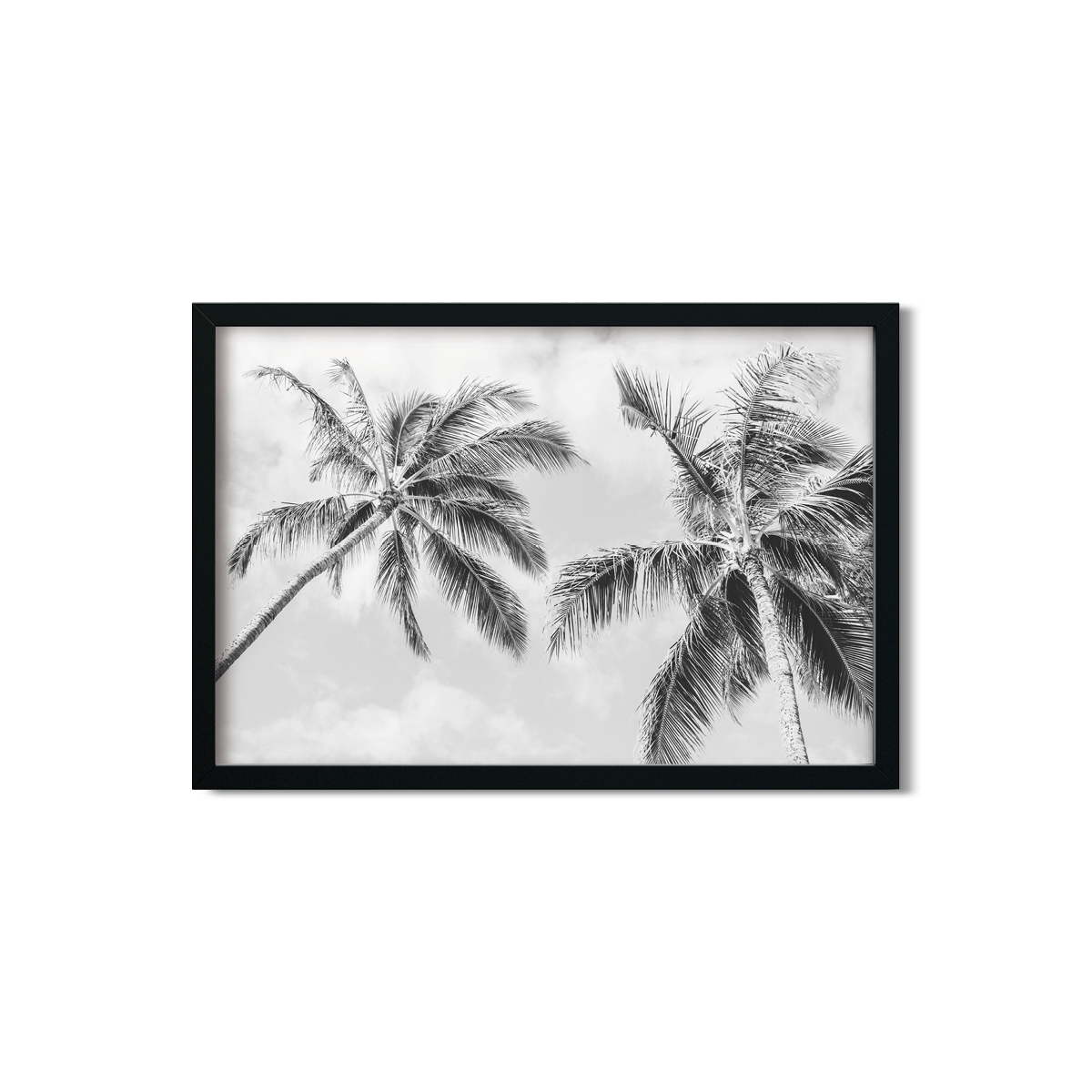 HAWAIIAN PALM TREES NO. 22