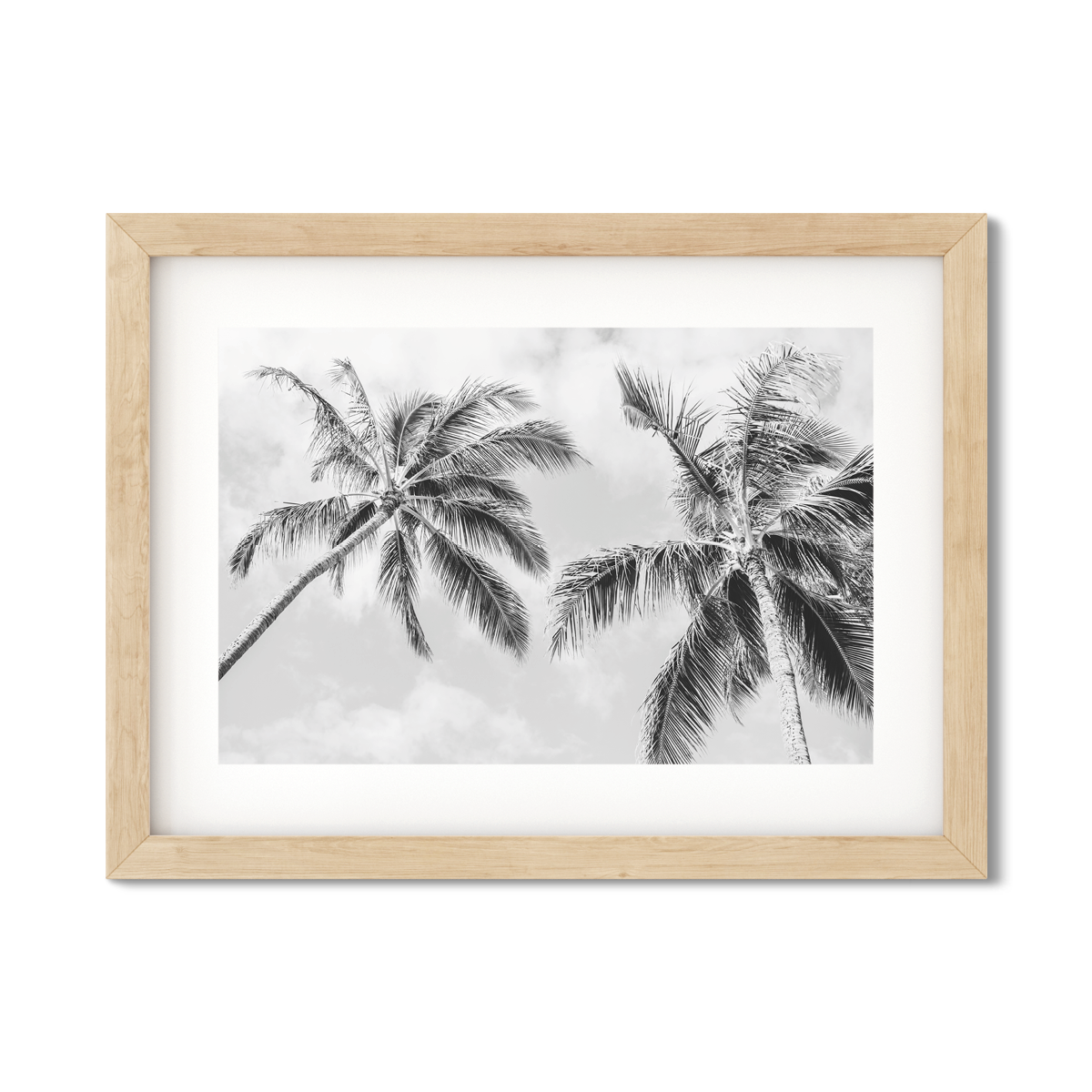 HAWAIIAN PALM TREES NO. 22