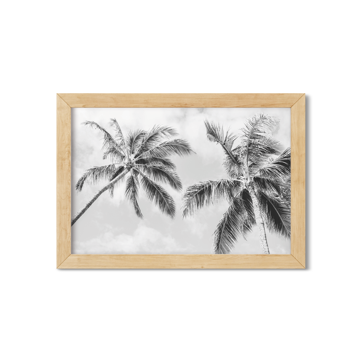 HAWAIIAN PALM TREES NO. 22