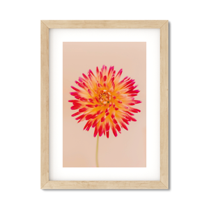 Open image in slideshow, DAHLIA NO. 2
