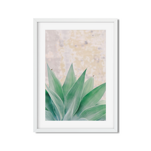 Open image in slideshow, AGAVE NO. 2
