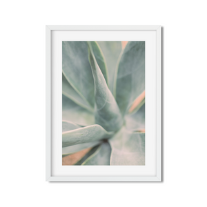 Open image in slideshow, AGAVE NO. 9
