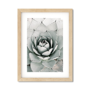 Open image in slideshow, AGAVE NO. 5
