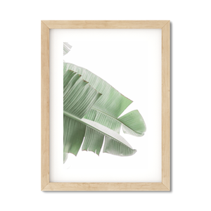 Open image in slideshow, BANANA LEAVES NO. 12
