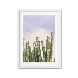 Open image in slideshow, CACTUS NO. 8
