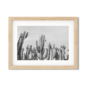 Open image in slideshow, CACTUS NO. 2
