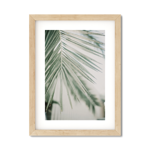 Open image in slideshow, PALM FRONDS NO. 4
