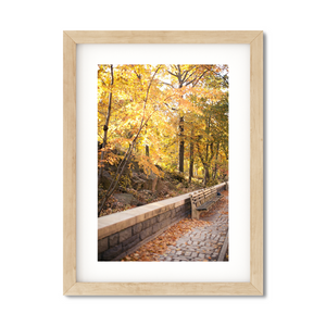 Open image in slideshow, FALL IN CENTRAL PARK NO. 5
