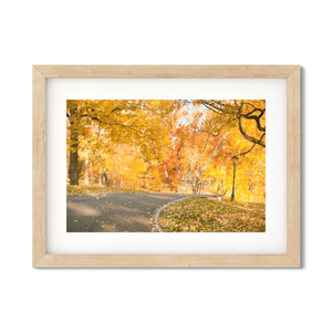 Open image in slideshow, FALL IN CENTRAL PARK NO. 6
