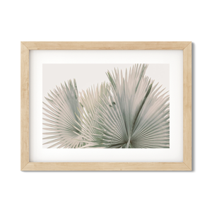 Open image in slideshow, FAN PALM NO. 7
