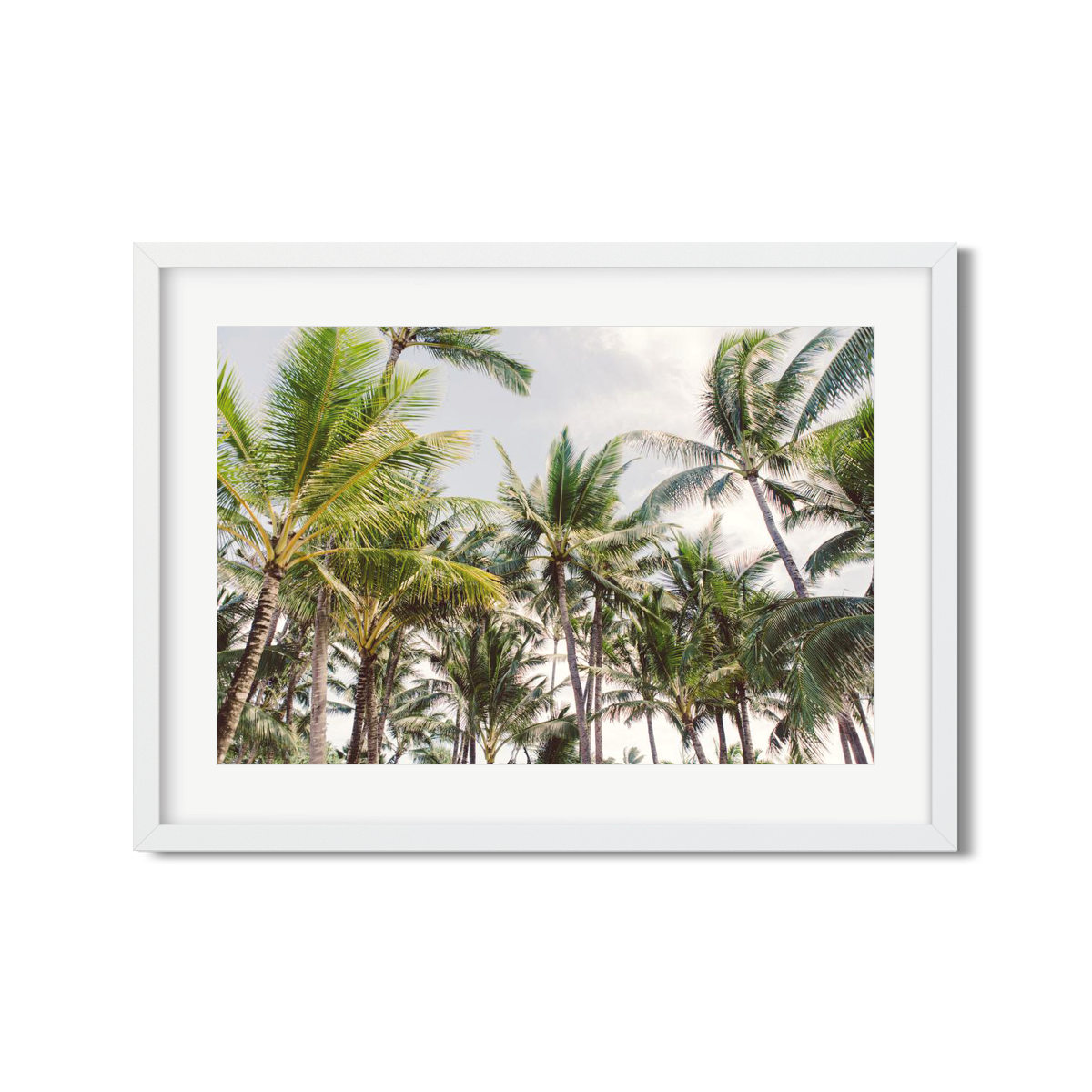 Palm Trees Wall Art - Hawaiian Palm Trees | Ariane Moshayedi Fine Art