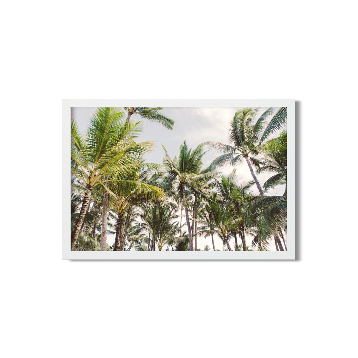 Palm Trees Wall Art - Hawaiian Palm Trees | Ariane Moshayedi Fine Art