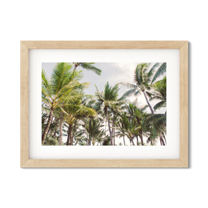 Open image in slideshow, HAWAIIAN PALM TREES NO. 10
