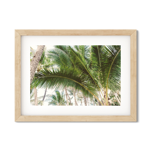 Open image in slideshow, HAWAIIAN PALM TREES NO. 12
