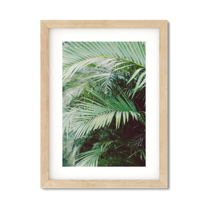 Open image in slideshow, HAWAIIAN PALM TREES NO. 18
