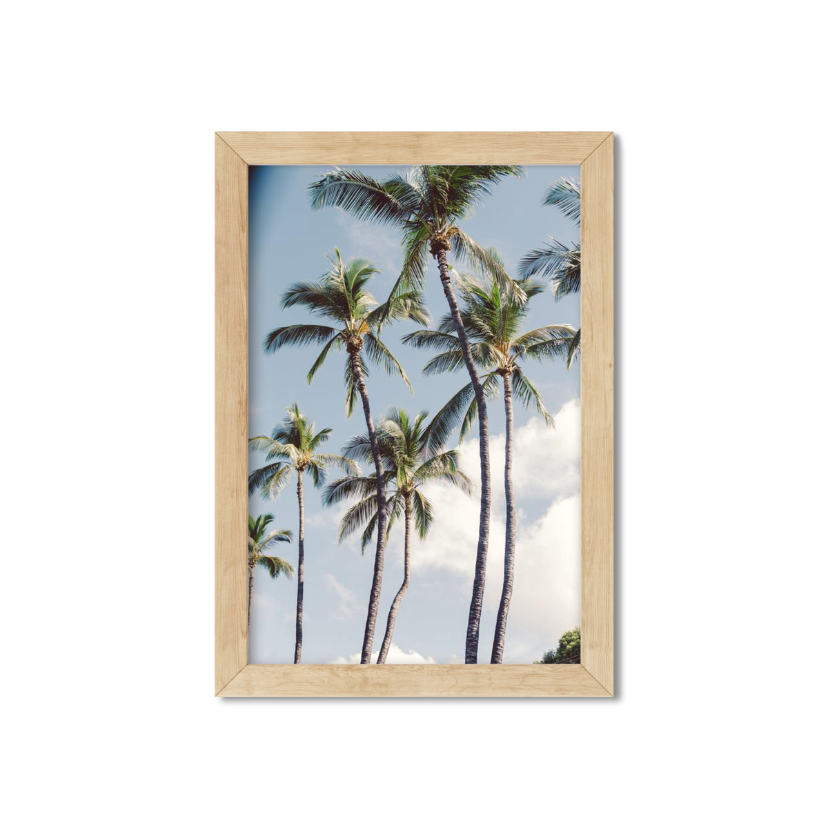 HAWAIIAN PALM TREES NO. 3