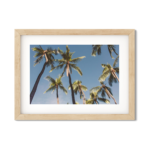 Open image in slideshow, HAWAIIAN PALM TREES NO. 5
