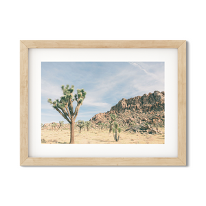 Open image in slideshow, JOSHUA TREE NO. 10
