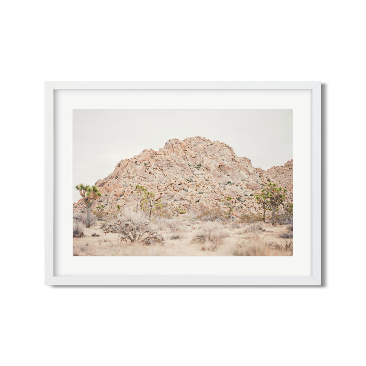 JOSHUA TREE NO. 22