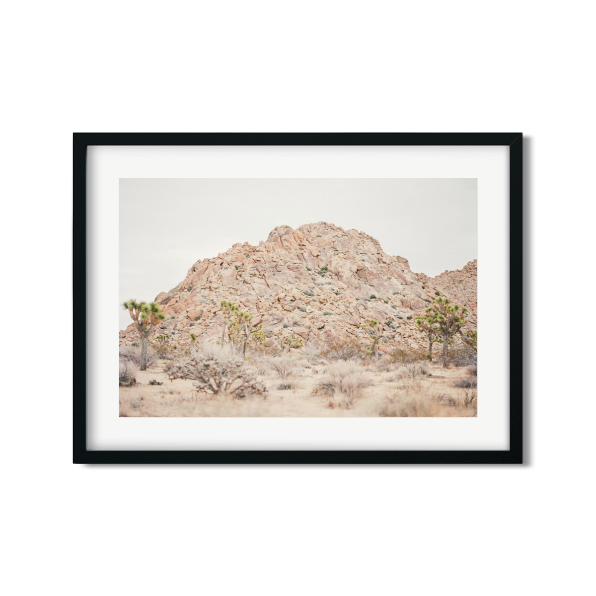 JOSHUA TREE NO. 22