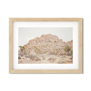 Open image in slideshow, JOSHUA TREE NO. 22

