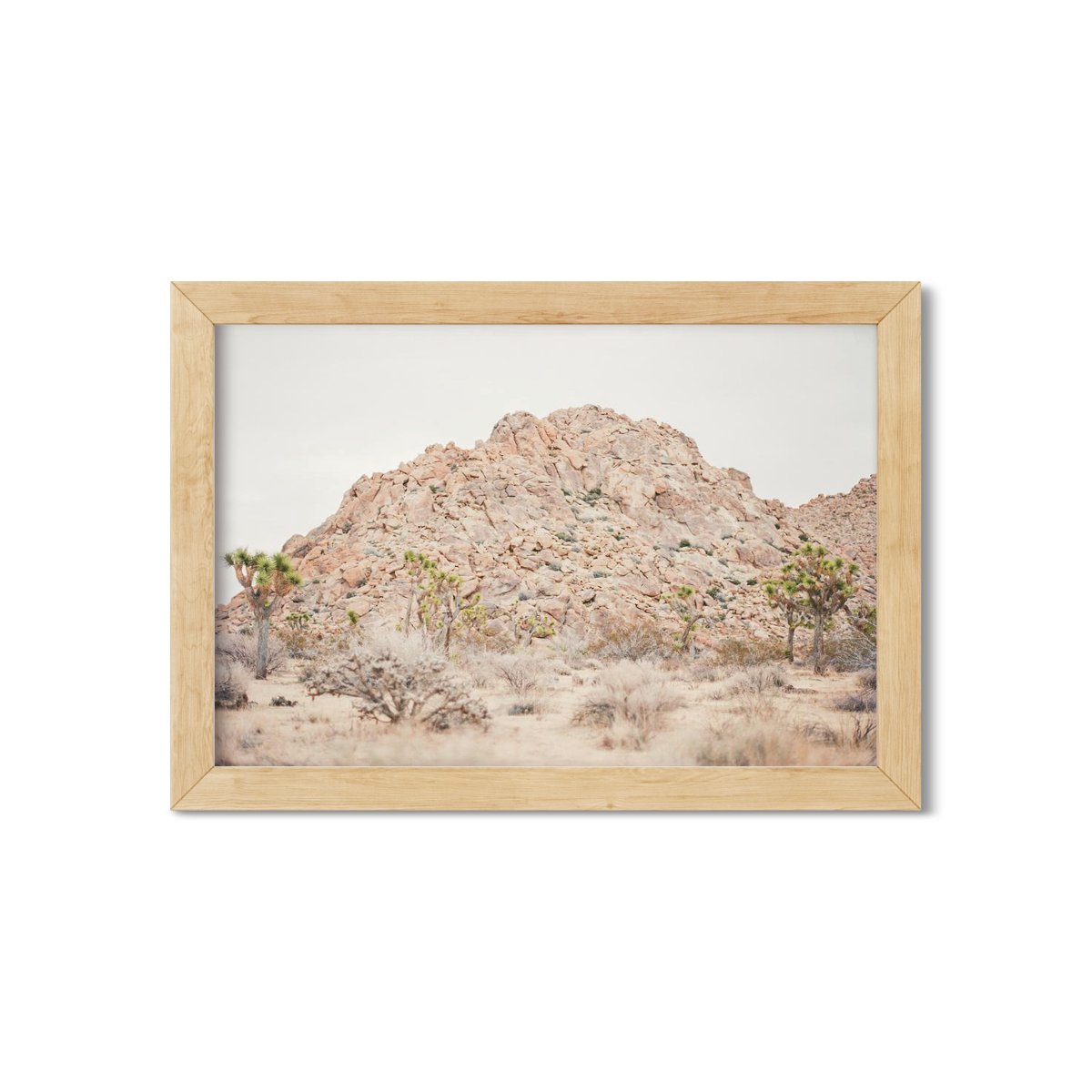JOSHUA TREE NO. 22