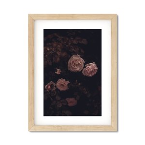 Open image in slideshow, ROSES
