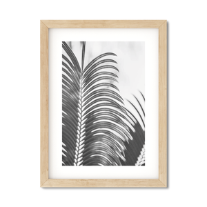 Open image in slideshow, PALM FRONDS
