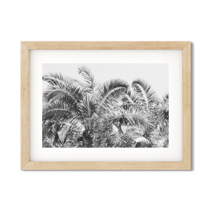 Open image in slideshow, PALM FRONDS NO. 2
