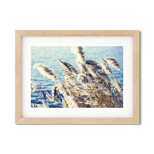 Open image in slideshow, PAMPAS NO. 8
