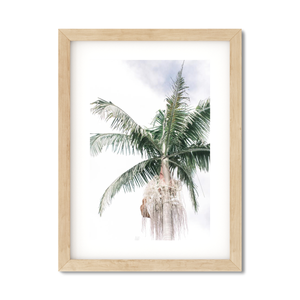 Open image in slideshow, SOLO PALM NO. 3
